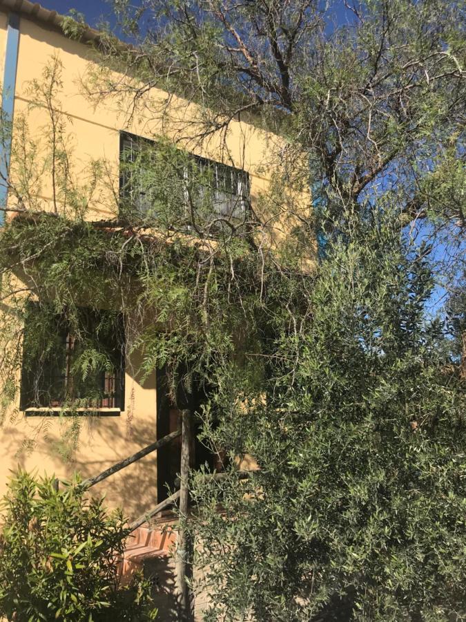 Casa Rural “Las Espinosas” Villanueva del Trabuco Esterno foto